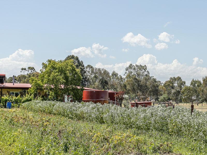 Kellers Bed And Breakfast Perth Bagian luar foto