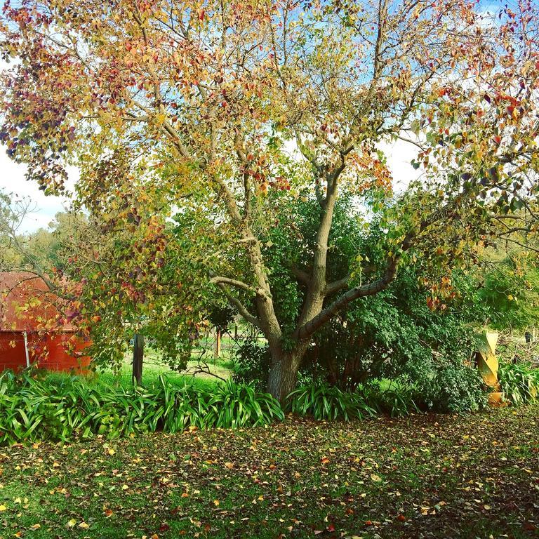 Kellers Bed And Breakfast Perth Bagian luar foto